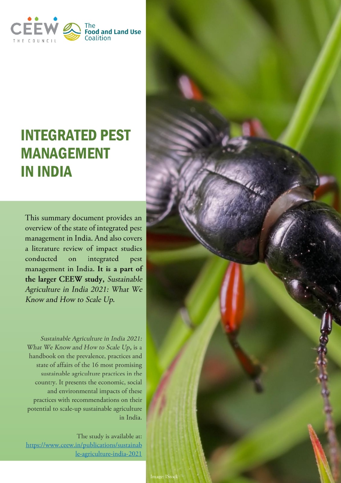 What is Integrated Pest Management in India? CEEW Research